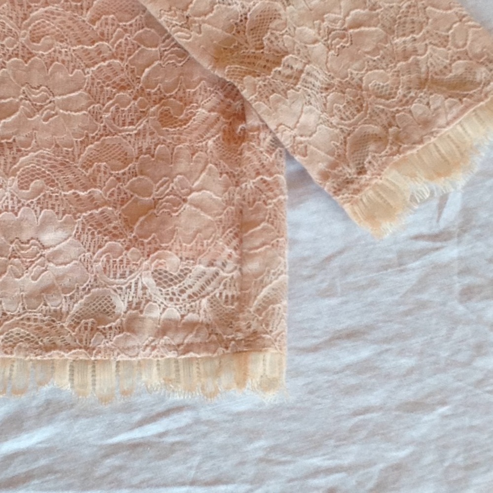 Reposh- NY & Co. Blush Lace shift dress, EUC, XL - Picture 4 of 5